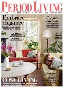 November 2022 
                issue November 2022