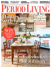 October 2020 
                issue October 2020