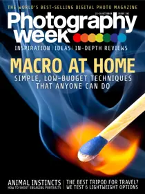 Issue 161 
                issue Issue 161