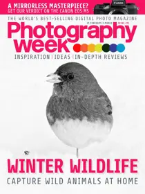 Issue  231 
                issue Issue  231