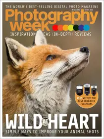 Issue 246 
                issue Issue 246