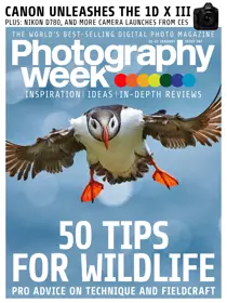 Issue 382 
                issue Issue 382