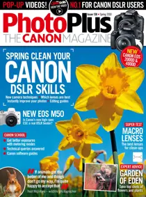 Spring 2018 
                issue Spring 2018