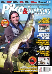 186 
                issue 186