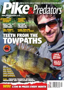 197 
                issue 197