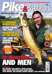 203 
                issue 203