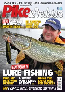 215 
                issue 215