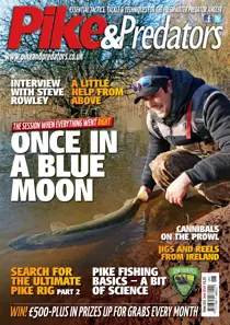 223 
                issue 223