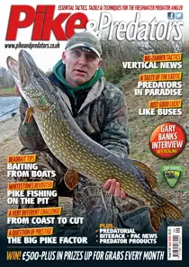 226 
                issue 226