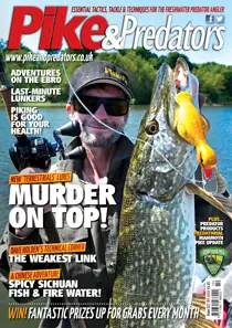 227 
                issue 227