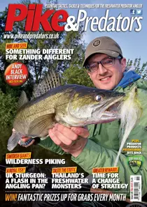 228 
                issue 228