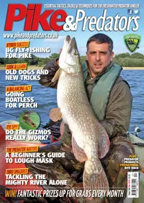 229 
                issue 229