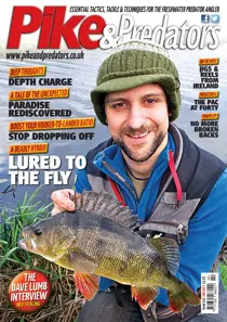 231 
                issue 231