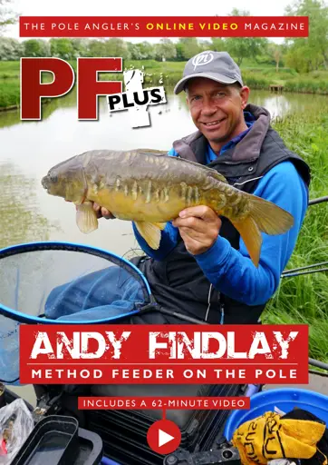 Pole Fishing Plus Preview