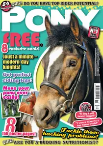 November 2013 
                issue November 2013