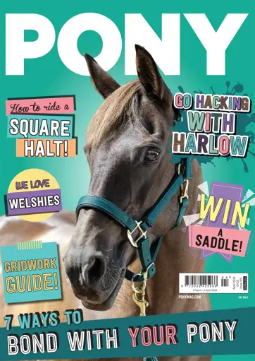 Pony Magazine Preview