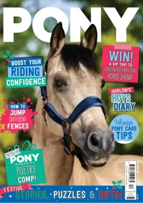 Pony Magazine 
                issue PONY Magazine – December 2025