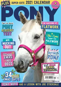 PONY Magazine – January 2021 
                issue PONY Magazine – January 2021