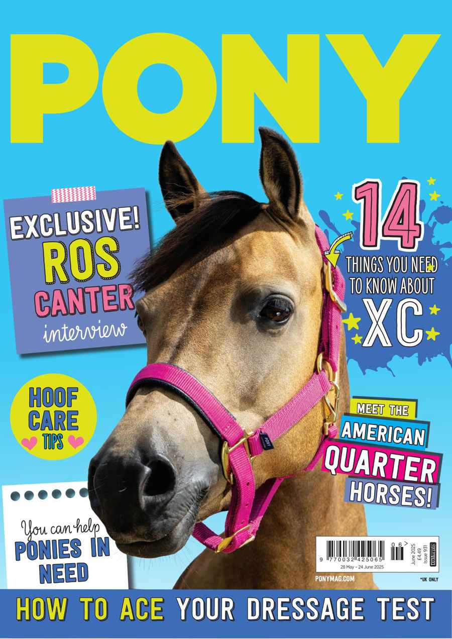 PONY