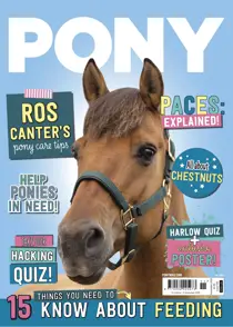 PONY Magazine – November 2025 
                issue PONY Magazine – November 2025