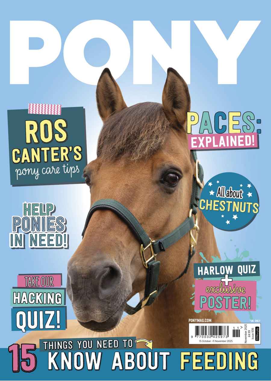 PONY
