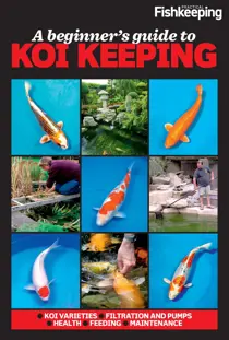 Practical Fishkeeping A Beginner's Guide to Koi Keeping