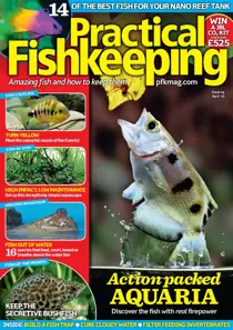 April 2016 
                issue April 2016