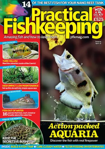 Practical Fishkeeping Preview