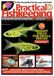 April 2017 
                issue April 2017