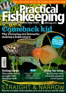 April 2018 
                issue April 2018