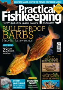 April 2019 
                issue April 2019
