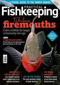 Practical Fishkeeping Magazine April 2021 
                issue Practical Fishkeeping Magazine April 2021