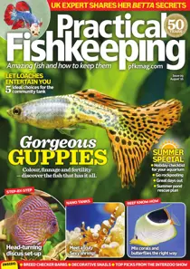 August 2016 
                issue August 2016