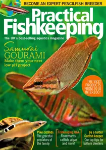 August 2018 
                issue August 2018