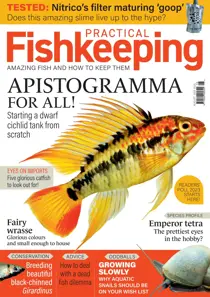 August 2023 
                issue August 2023