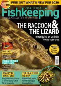 August 2026 
                issue August 2026