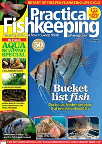 December 2016 
                issue December 2016