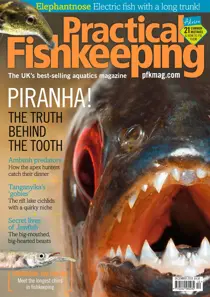 December 2018 
                issue December 2018