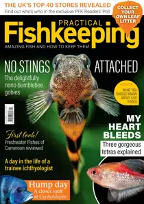 Practical Fishkeeping December 2023