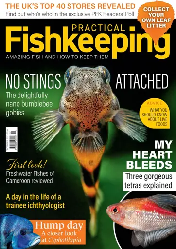 Practical Fishkeeping Preview