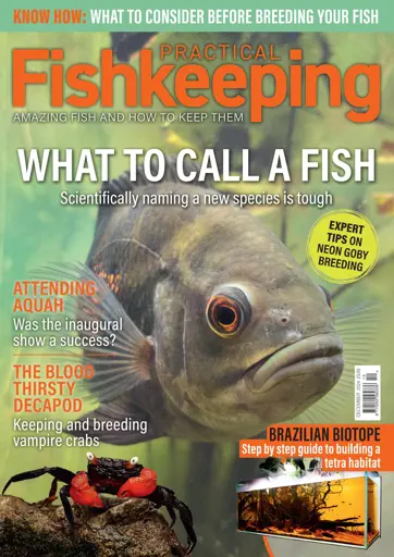 Practical Fishkeeping Preview