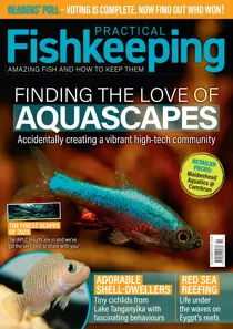 Practical Fishkeeping 
                issue December 2025