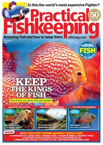 February 2017 
                issue February 2017
