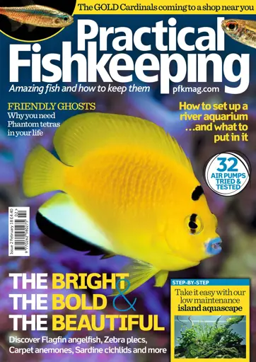 Practical Fishkeeping Preview