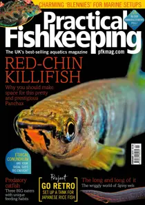 February 2019 
                issue February 2019