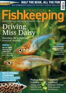 Practical Fishkeeping February 2024