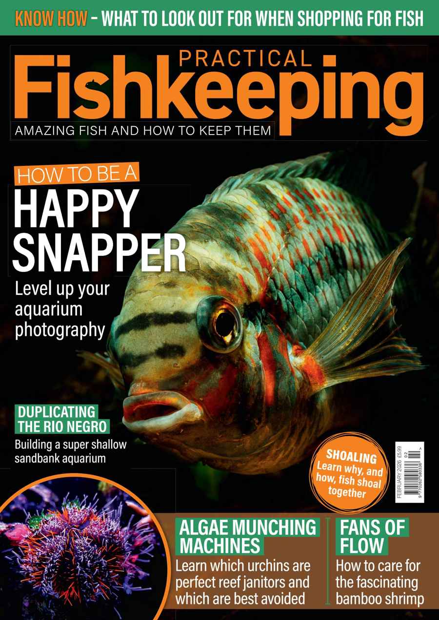 Practical Fishkeeping issue February 2026