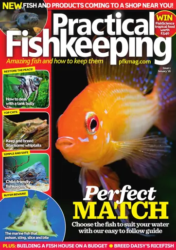 Practical Fishkeeping Preview