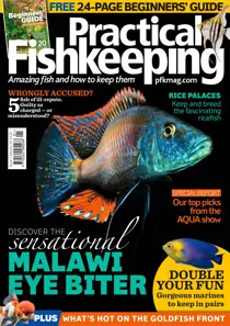 January 2018 
                issue January 2018