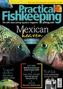 January 2019 
                issue January 2019